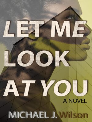 cover image of Let Me Look at You